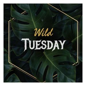 TUESDAY 3/17 👉🏼